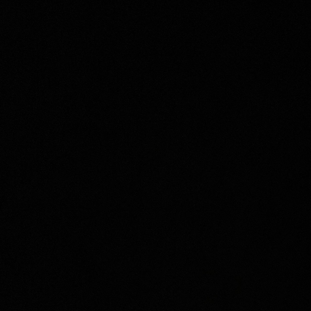 Meet your Posher, Riley